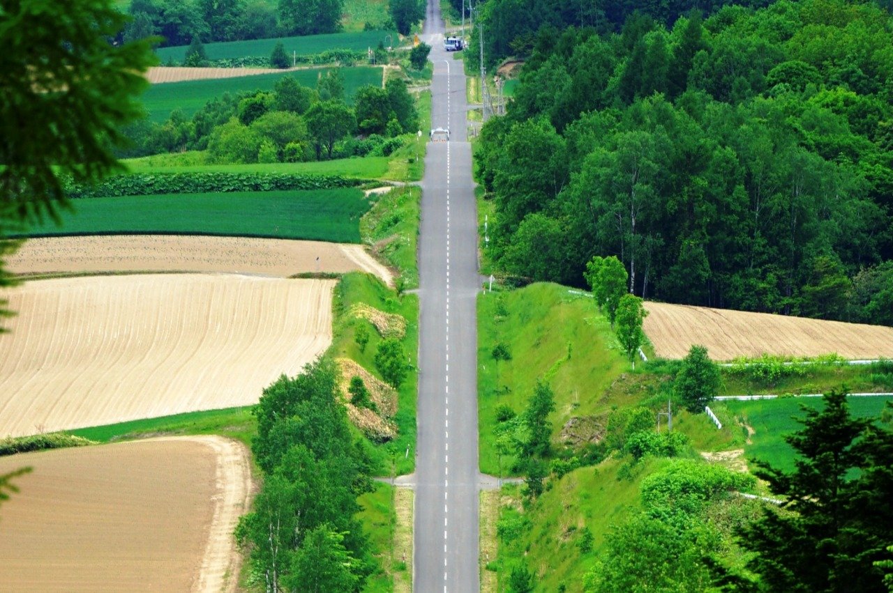 🏞️ 슈지츠 언덕(슈지츠노오카) 이미지 6
